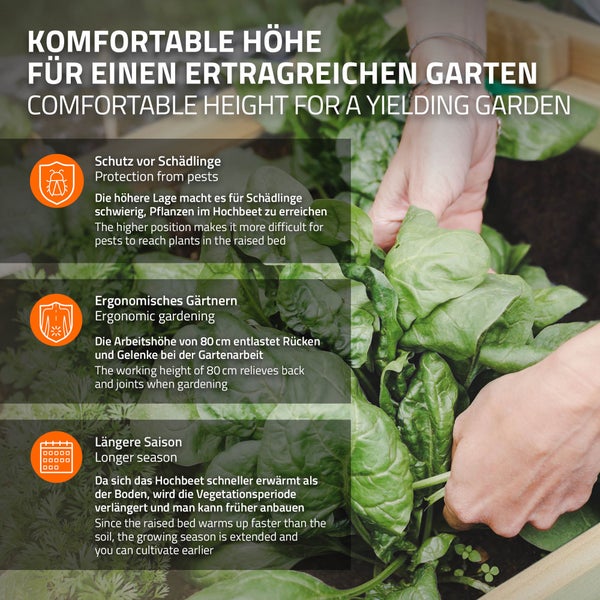 ECD Germany Hochbeet aus Holz mit Ablage und Pflanzfolie 80x60x80 cm Natur Witterungsbeständig 4 Pflanzengefäße Frühbeet Kräuterbeet Gemüsebeet Pflanzkübel Pflanzkasten für Garten Balkon und Terrasse