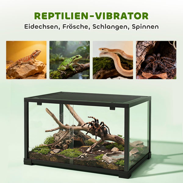 Terrarium mit Spinne auf einem Ast sowie Abbildungen von Eidechse, Frosch, Schlange und Spinne.