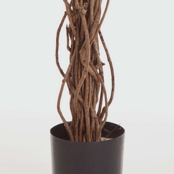 Künstlicher Blauregen mit gelben Blüten, grünem Laub und geflochtenem Stamm im schwarzen Topf.
