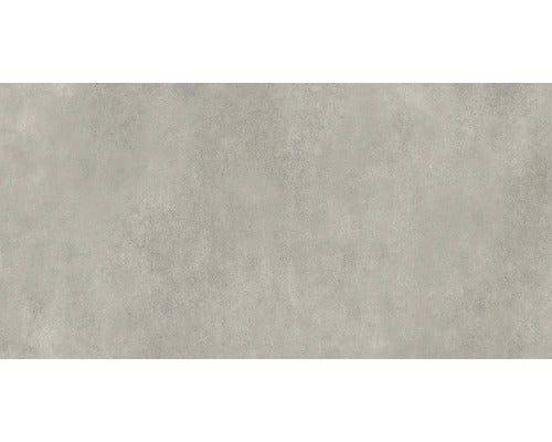 Feinsteinzeug Wand und Bodenfliese Classica hellgrau 59,8x119,8x0,8cm rektifiziert