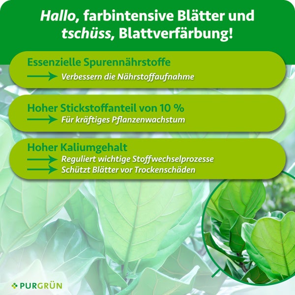 Infografik über Pflanzendünger mit Angaben zu Spurennährstoffen, Stickstoffgehalt und Kaliumgehalt sowie Purgrün Logo.