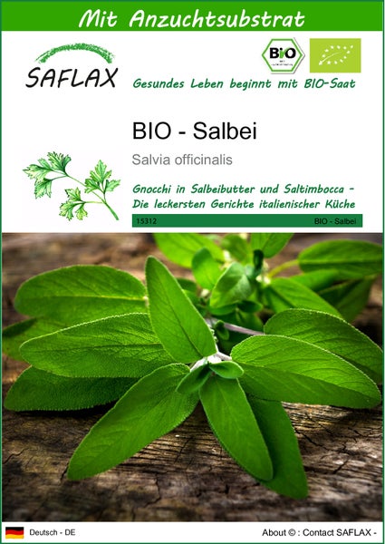 SAFLAX  - BIO - Salbei - Salvia officinalis - 60 Samen - Mit keimfreiem Anzuchtsubstrat