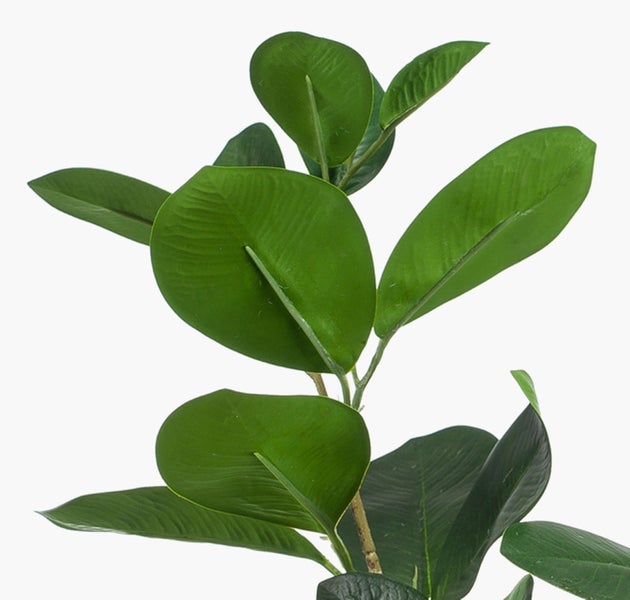 Künstliche Crassula im schwarzen Steintopf mit Dekosteinen.