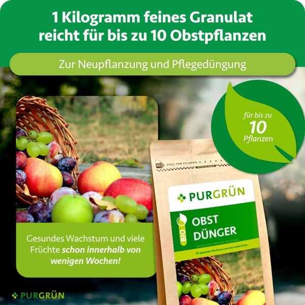 Bio Obstdünger von Purgrün, feines Granulat, 1 Kilogramm für bis zu 10 Pflanzen, zur Neupflanzung und Pflegedüngung.