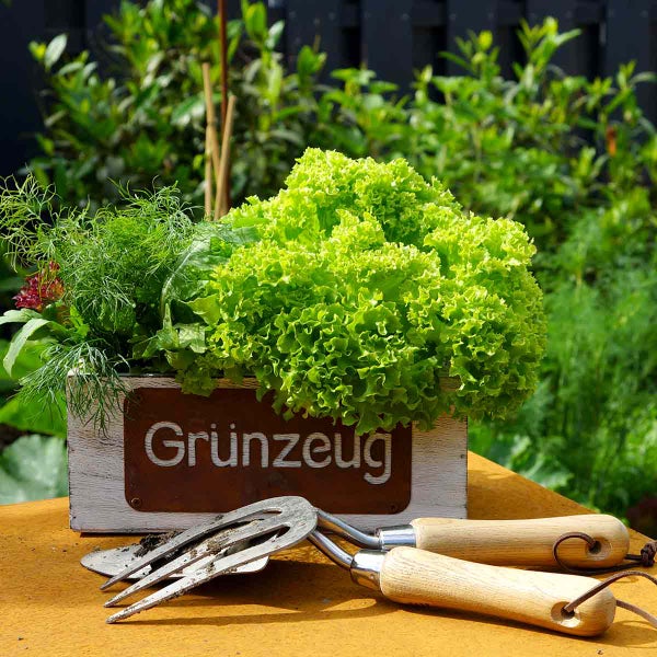 Gemüse in Holzkiste mit Gartenwerkzeugen