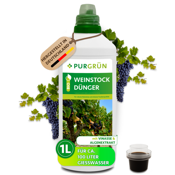 Infografik zu Pflanzendünger für Weinreben mit Vinasse, Algenextrakt und Kalium für Blattgesundheit und Fruchtqualität. PURGRÜN Logo.