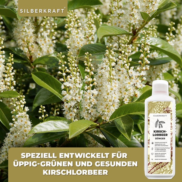 SILBERKRAFT Kirschlorbeer Dünger – NPK Flüssigdünger – 1 Liter