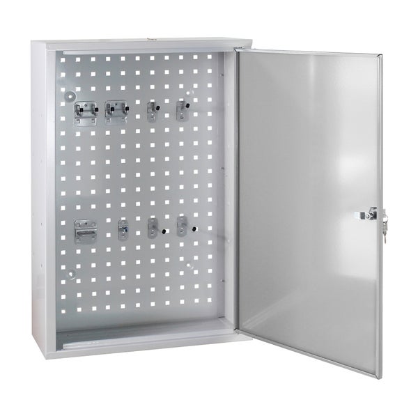 PROREGAL Werkzeugwandschrank mit Tür + 8 Haken | HxBxT 75x50x20cm | Lichtgrau