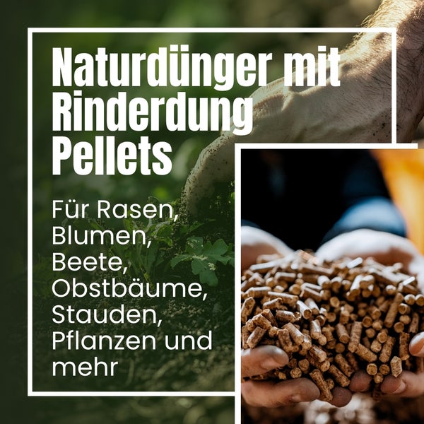 Naturdünger mit Rinderdung Pellets für Rasen, Blumen, Beete, Obstbäume, Stauden und Pflanzen