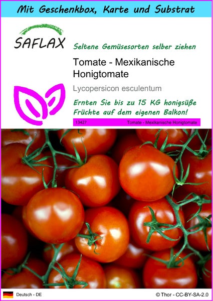 SAFLAX Geschenk Set - Tomate - Mexikanische Honigtomate - Lycopersicon esculentum - 10 Samen - Mit Geschenkbox, Versandaufkleber, Geschenkkarte und Anzuchtsubstrat