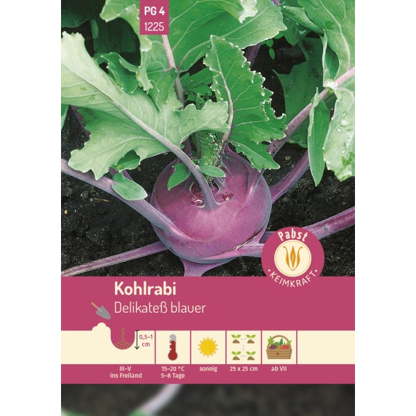 Kohlrabi mittelfrüh & zart Delikateß blauer Samen von Pabst Keimkraft