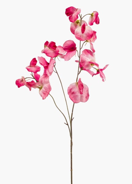 Künstliche Pflanze Anthurium mit herzförmigen Blättern und weißen Blattadern im schwarzen Topf.
