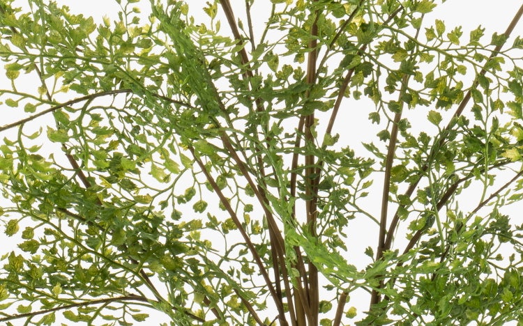 Künstliche Farnpflanze mit grünen Blättern und braunen Stielen in Detailansicht.
