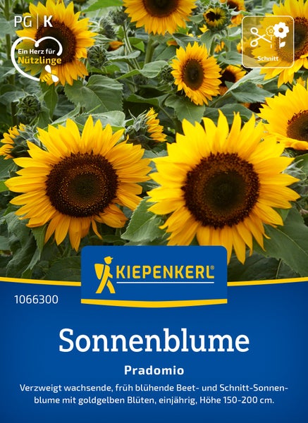 Saatgut Kiepenkerl Sonnenblume Pradomio einjährig 150 bis 200 Zentimeter Höhe als Beet und Schnittblume geeignet für Insekten fördernd