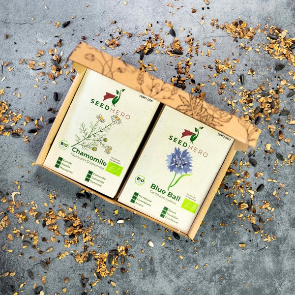 Seedhero Bio-Saatgut-Set mit Echter Kamille und Kornblume Blue Ball in einer Kartonschachtel mit Bio-Zertifizierung.