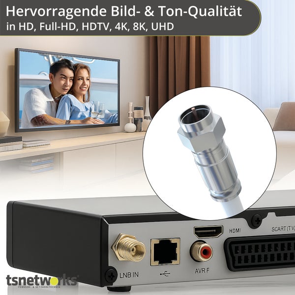 Rückseite eines Fernsehreceivers mit Anschlüssen und F-Stecker