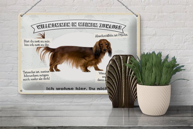 Blechschild Spruch 30x20cm Tiere Hund ich wohne hier du nicht