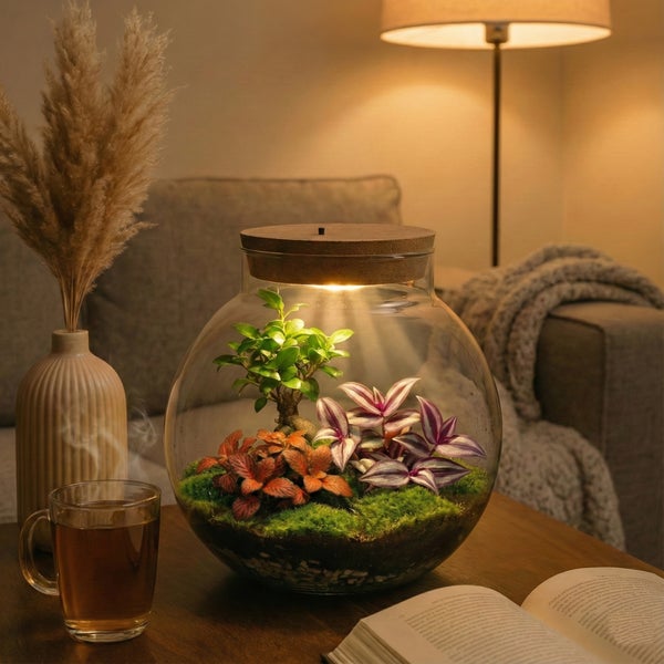 Rundes Glas-Terrarium mit LED-Licht im Korkdeckel, Zimmerpflanzen und Moos auf einem Holztisch neben einer Tasse Tee und einem Buch.