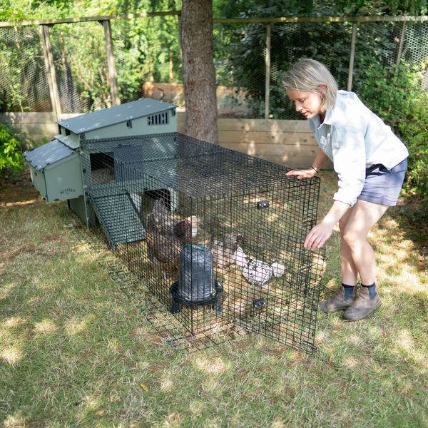 Frau an einem modernen grünen Hühnerstall mit schwarzem Auslaufgehege aus Drahtgitter im Garten auf einer Rasenfläche.