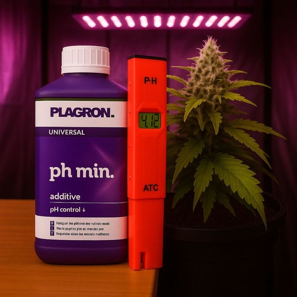 Plagron pH-Minus-Additiv zur pH-Wert-Regulierung und ein pH-Messgerät neben einer Pflanze.