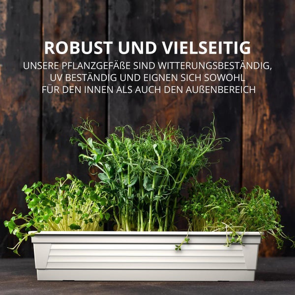 Plastard Blumenkasten 3er Set Weiß 60x21x17 cm Pflanzkasten Balkonkasten Pflanzkübel