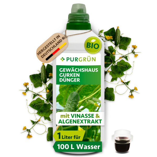 Purgrün Bio Gewächshaus Gurken Dünger mit Vinasse und Algenextrakt in einer 1 Liter Flasche für 100 Liter Gießwasser, hergestellt in Deutschland.