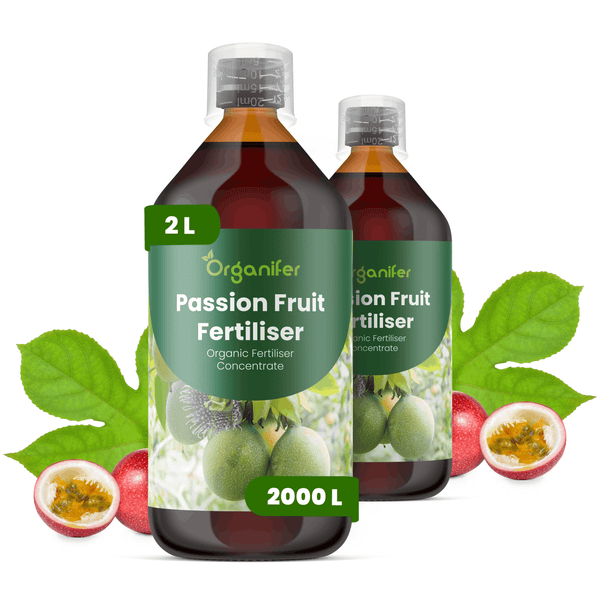 Zwei Flaschen Organifer Passionsfrucht-Dünger Konzentrat, jeweils 2 Liter, für circa 2000 Liter Gießwasser, mit Passionsfrucht-Abbildungen.
