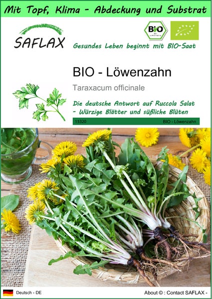 SAFLAX Garden to go - BIO - Löwenzahn - Taraxacum officinale - 400 Samen - Mit Topf, Klima - Deckel und Anzuchtsubstrat