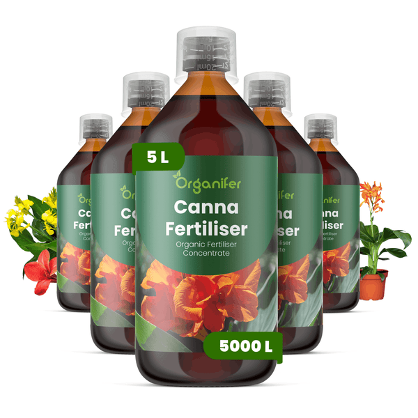 Fünferpack Organifer Canna Dünger, flüssiges organisches Konzentrat, fünf Liter Gesamtinhalt, ergibt fünftausend Liter Dünger.