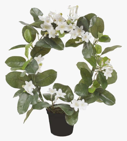 Künstliche Hängepflanze Sedum mit dichten, herabhängenden Trieben und fleischigen Blättern.