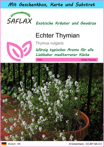 SAFLAX Geschenk Set - Echter Thymian - Thymus vulgaris - 200 Samen - Mit Geschenkbox, Versandaufkleber, Geschenkkarte und Anzuchtsubstrat
