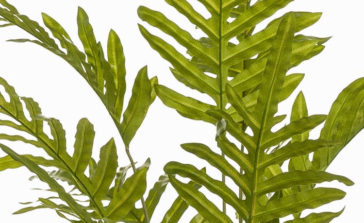 Künstlicher Farn mit grünen Blättern in einem schwarzen Topf.