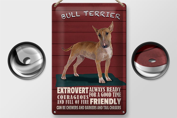 Blechschild Spruch 20x30cm Bullterrier Hund always ready