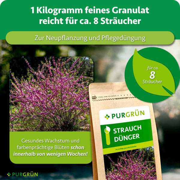 Eine Packung Purgrün Strauchdünger in Granulatform für zirka acht Sträucher zur Neupflanzung und Pflegedüngung für gesundes Wachstum.