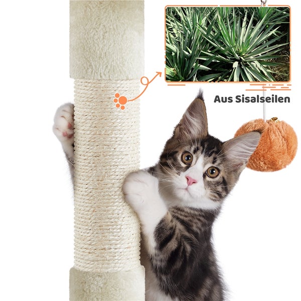 Katze an einem Kratzbaum aus Sisal mit Spielzeug