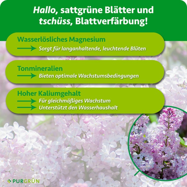Infografik mit Vorteilen von Pflanzendünger für Blühpflanzen mit Magnesium, Tonmineralien und Kalium vor einem Fliederhintergrund.