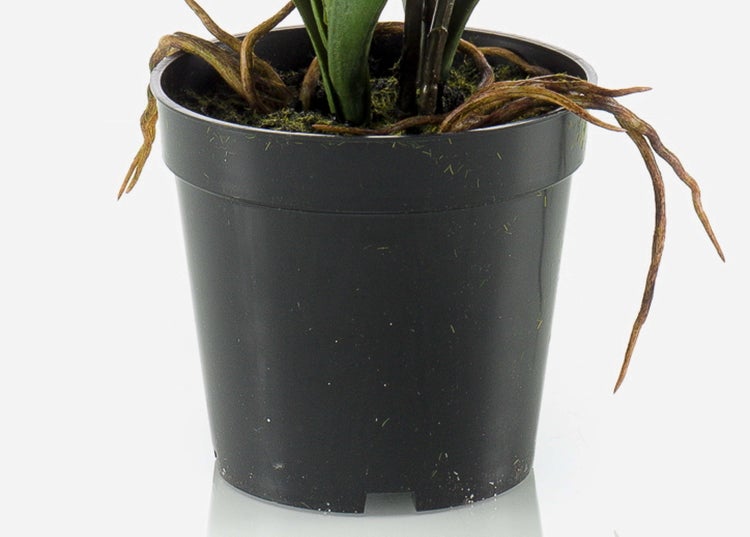 Künstlicher Magnolienzweig mit weißen Blüten und Knospen.