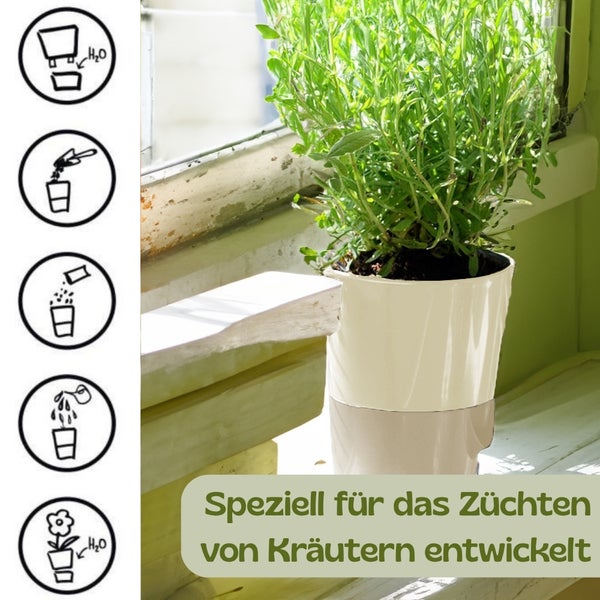 Selbstbewässernder Kräutertopf auf einer Fensterbank, speziell für das Kräuterzüchten mit Symbolen für Wasser, Erde, Aussaat und Pflege.
