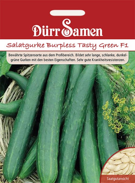 Samentüte für Salatgurke Burpless Tasty Green F1 von Dürr Samen.