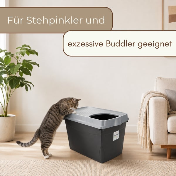 Katzenklo mit Topeinstieg in einem hellen, modern eingerichteten Wohnzimmer mit einer Katze, einer Zimmerpflanze und einem Sofa.