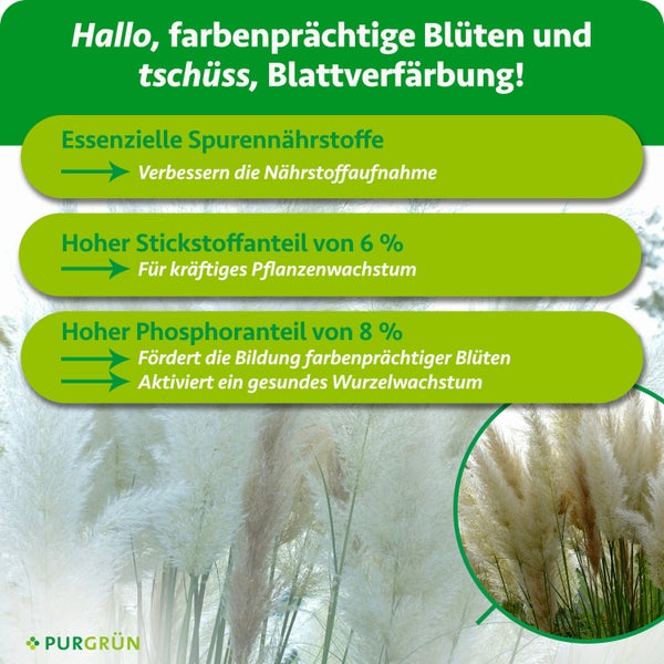 Infografik zu Pflanzendünger: Essenzielle Spurennährstoffe, 6 Prozent Stickstoff, 8 Prozent Phosphor für Wachstum, Blüten und Wurzeln. Purgrün Logo.