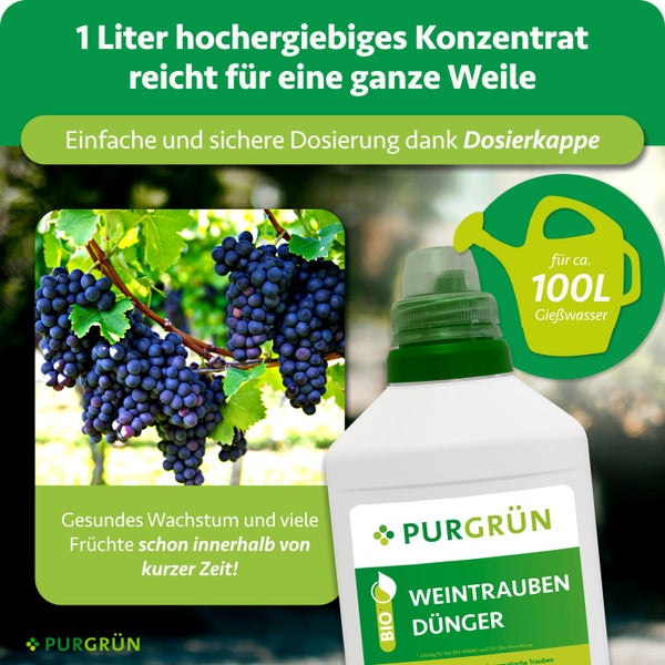 Purgrün Weintrauben Dünger Konzentrat in einer 1 Liter Flasche, ausreichend für circa 100 Liter Gießwasser, Abbildung reifer Weintrauben.