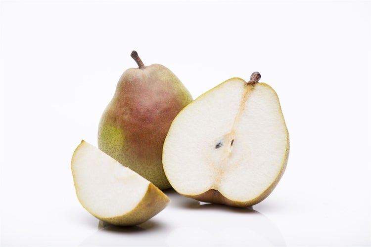 Pyrus communis 'Zwergbirne', Zwergbirne, kompakt, 60 cm