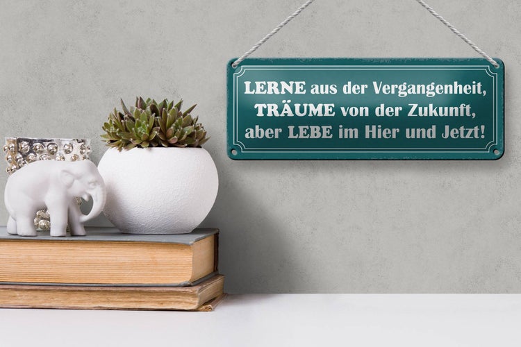 Blechschild Spruch 27x10cm lerne träume lebe hier und jetzt Dekoration