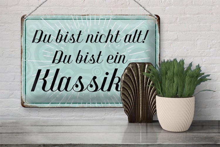 Blechschild Spruch 30x20cm du bist nicht alt du Klassiker