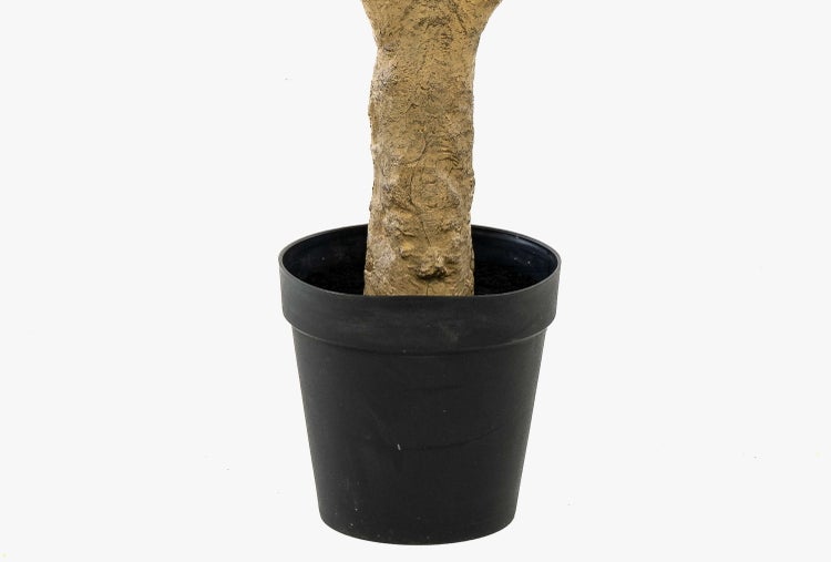 Künstlicher Baumstamm in einem schwarzen Kunststofftopf.