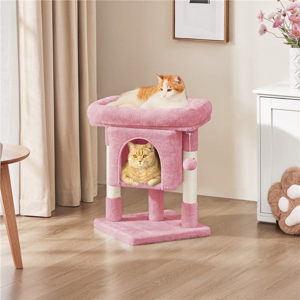 Katzenbaum mit zwei Katzen, eine liegt oben, die andere sitzt im Haus