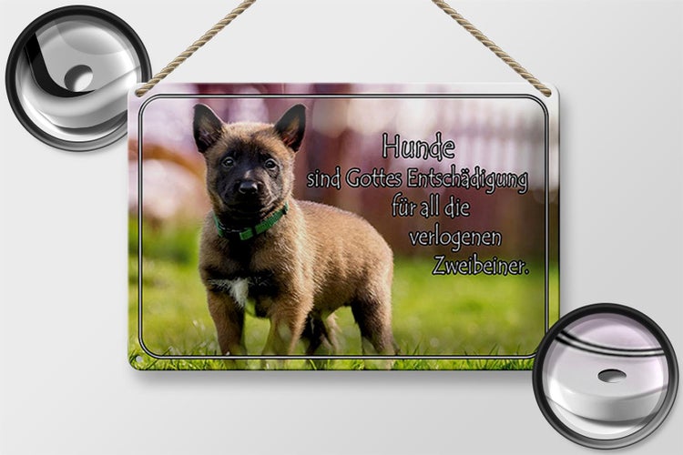 Blechschild Spruch 30x20cm Hunde sind Gottes Entschädigung