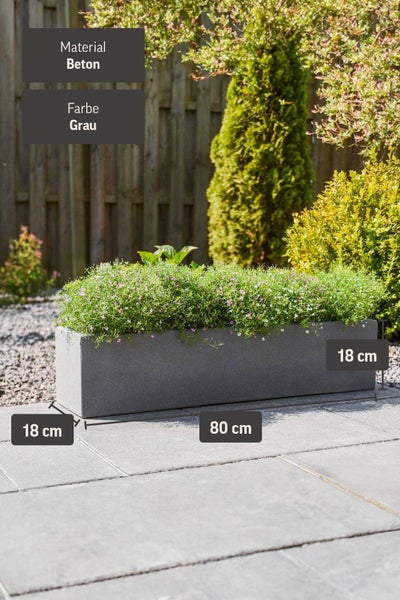 Grauer, rechteckiger Blumenkasten aus Beton, 80 mal 18 mal 18 Zentimeter, bepflanzt auf einer Terrasse im Garten.