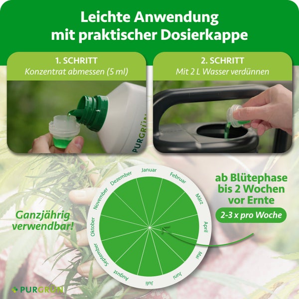 Anleitung für Purgrün Flüssigdünger: 5 Milliliter abmessen, mit 2 Liter Wasser verdünnen. Ganzjährig nutzbar, 2 bis 3 Mal pro Woche. Purgrün Logo.